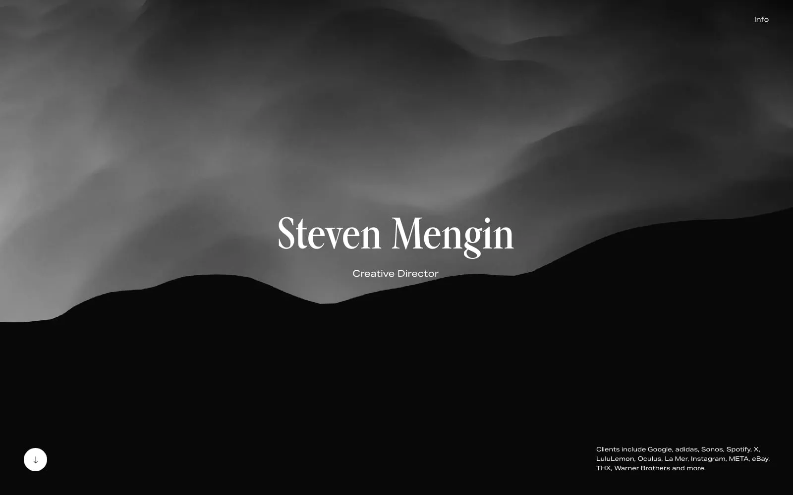 Screenshot of Steven Mengin