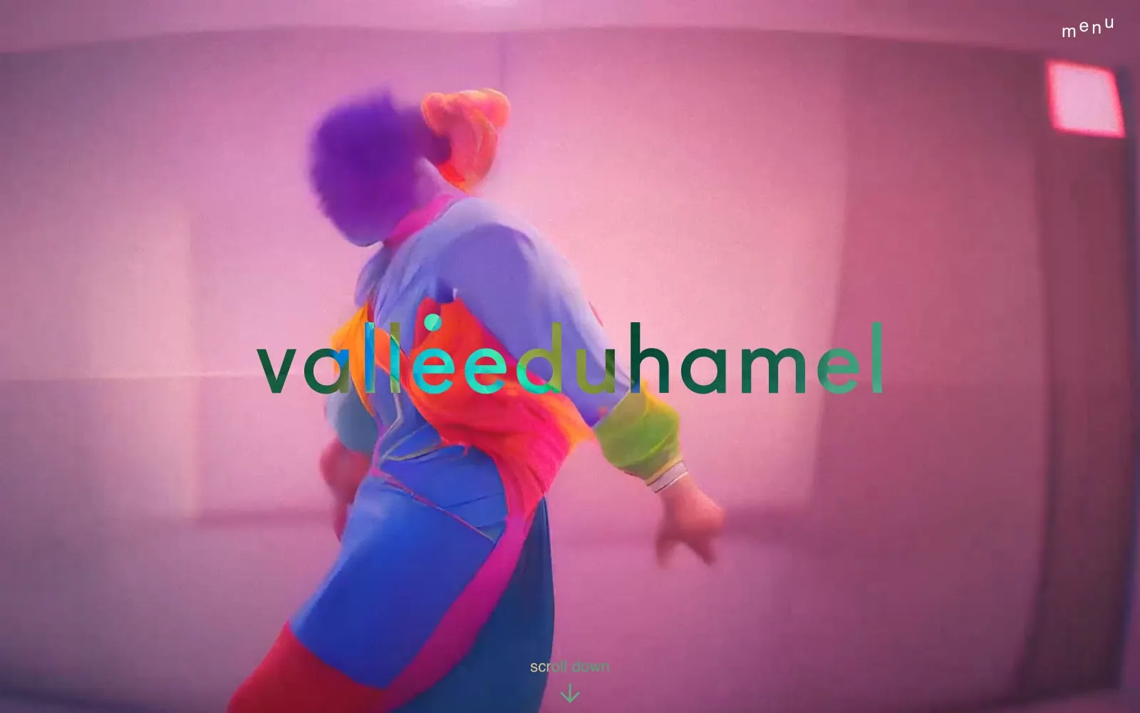 Screenshot of Vallée Duhamel