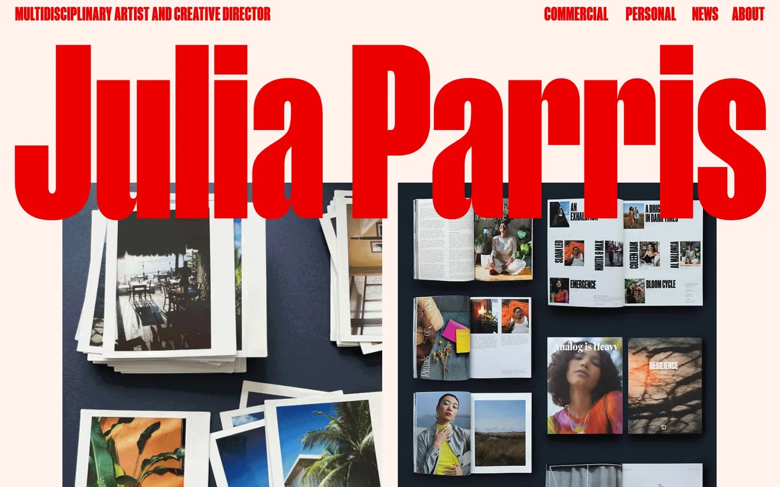 Screenshot of Julia Parris