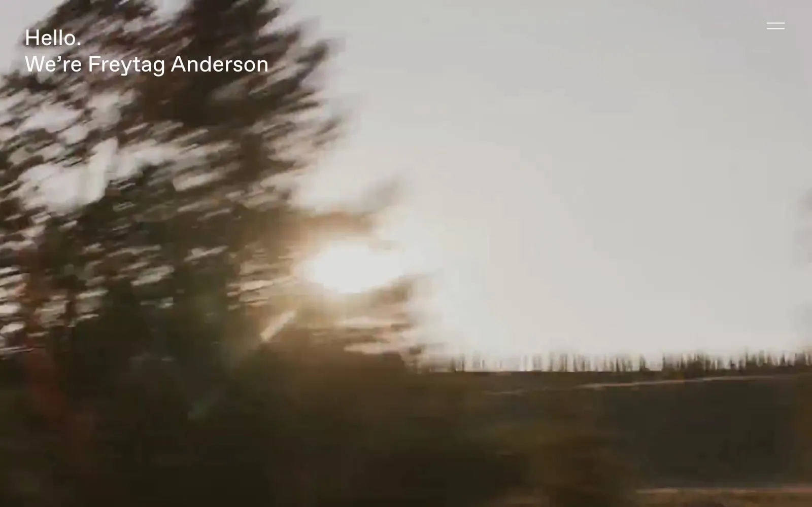 Screenshot of Freytag Anderson