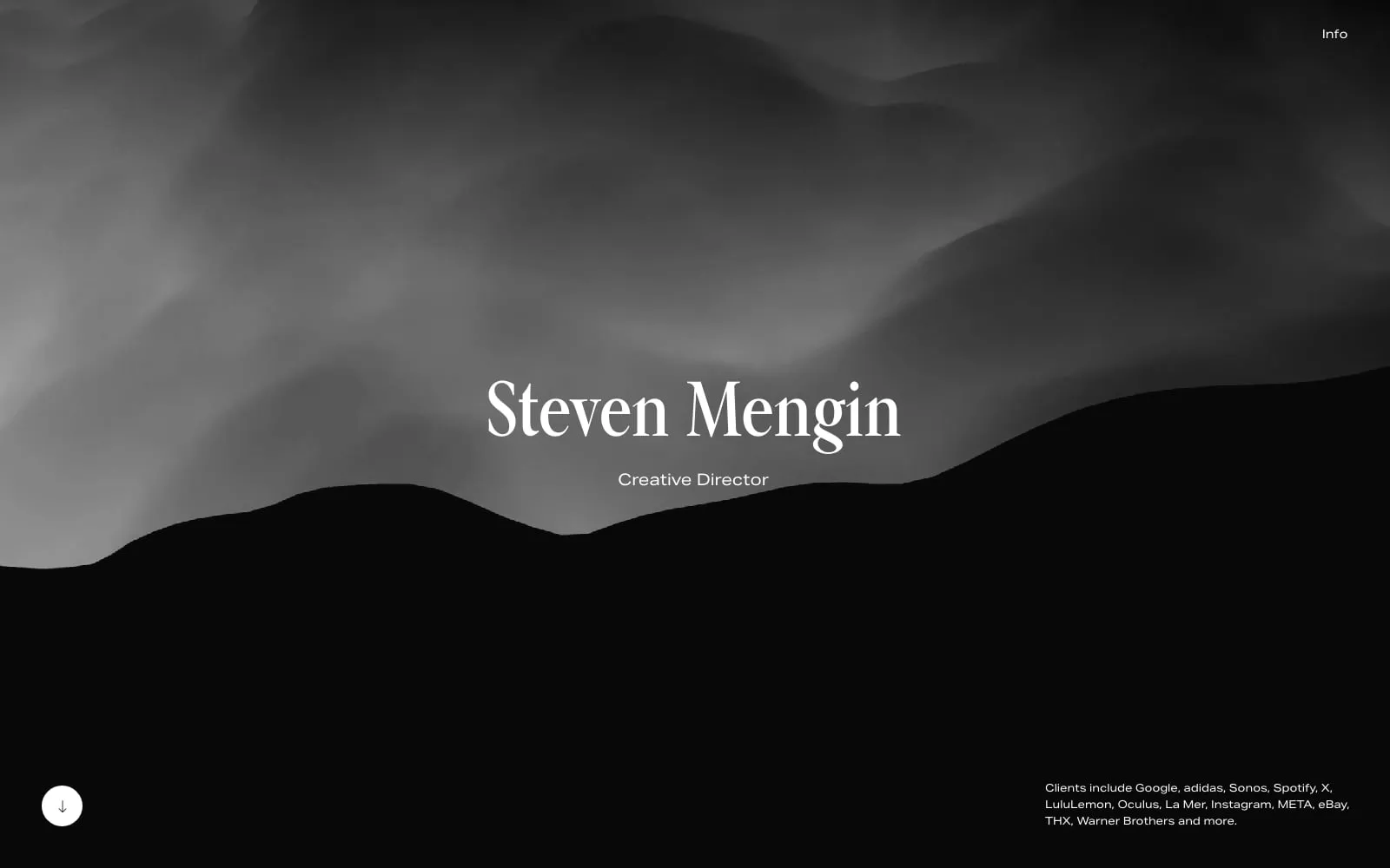 Screenshot of Steven Mengin