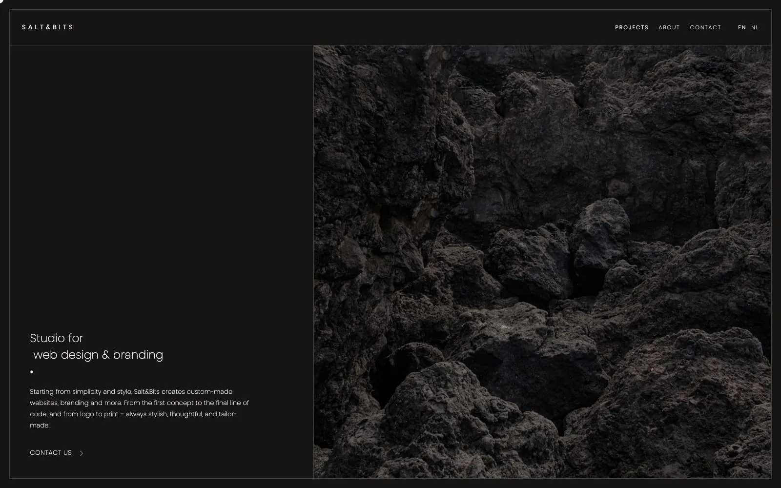 Screenshot of Salt&Bits